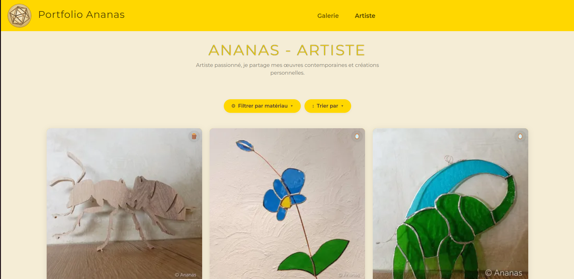 Aperçu de la vitrine d'Ananas, artiste